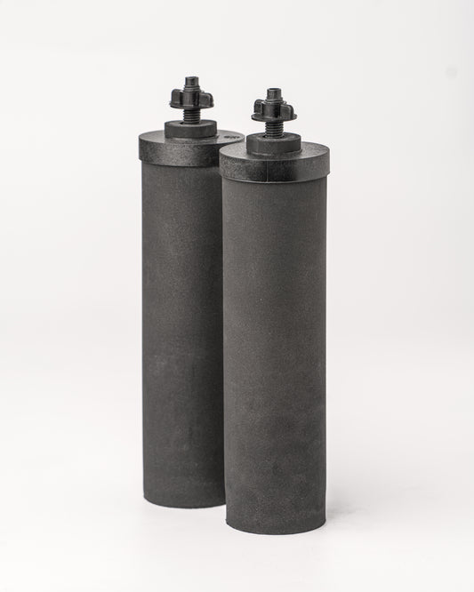 Clearbrook CB9 Filter Elements (Set of 2)