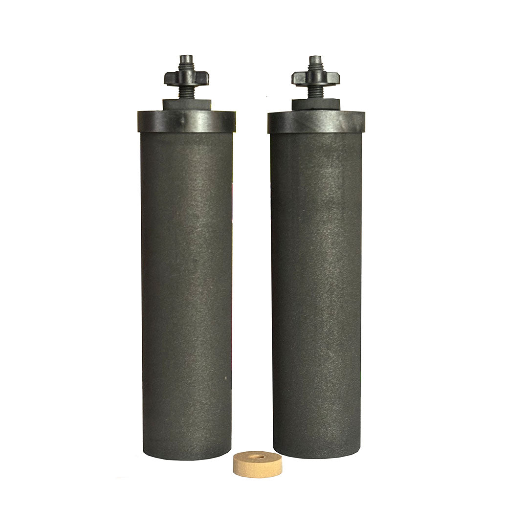 CB9 Clearbrook 9-inch gravity filter. Set of two filters.