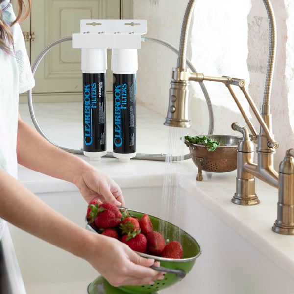 Clearbrook Dual Filter System
